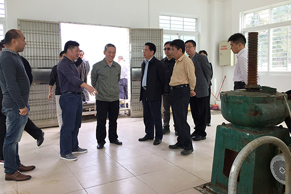 澳门正版游戏平台